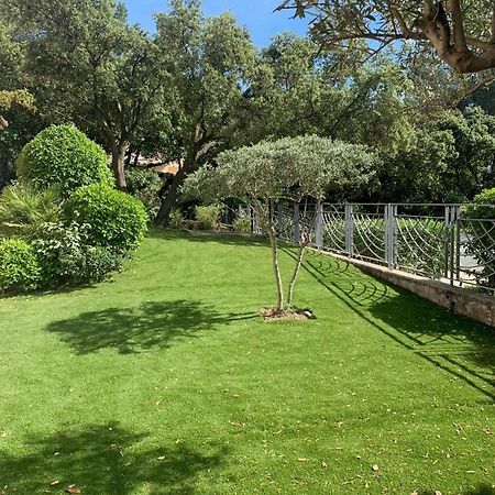 Studio En Rez-De-Jardin Arbore Avec Acces Piscine Et Clim Villeneuve-lès-Avignon Eksteriør bilde