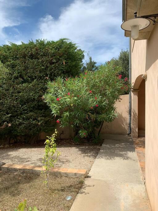 Studio En Rez-De-Jardin Arbore Avec Acces Piscine Et Clim Villeneuve-lès-Avignon Eksteriør bilde
