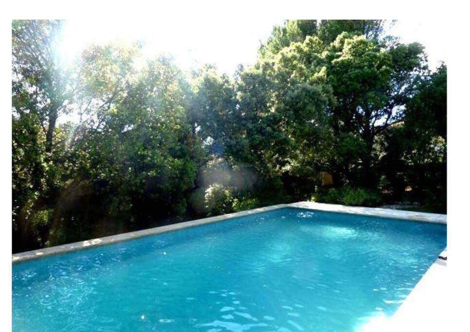 Studio En Rez-De-Jardin Arbore Avec Acces Piscine Et Clim Villeneuve-lès-Avignon Eksteriør bilde